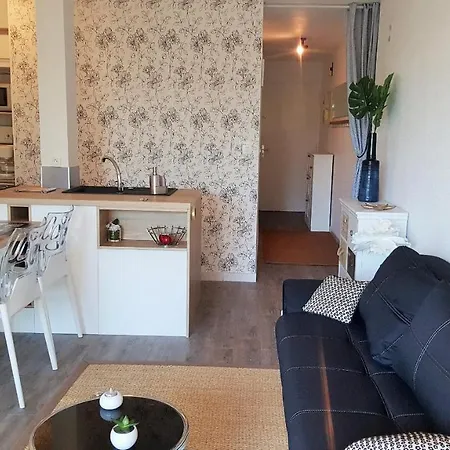 Route Imperiale Le Grand Large 4gl3 Apartment Collioure