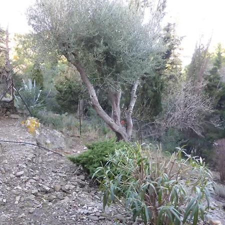 Appartement Route Imperiale Le Grand Large 4gl3 Collioure